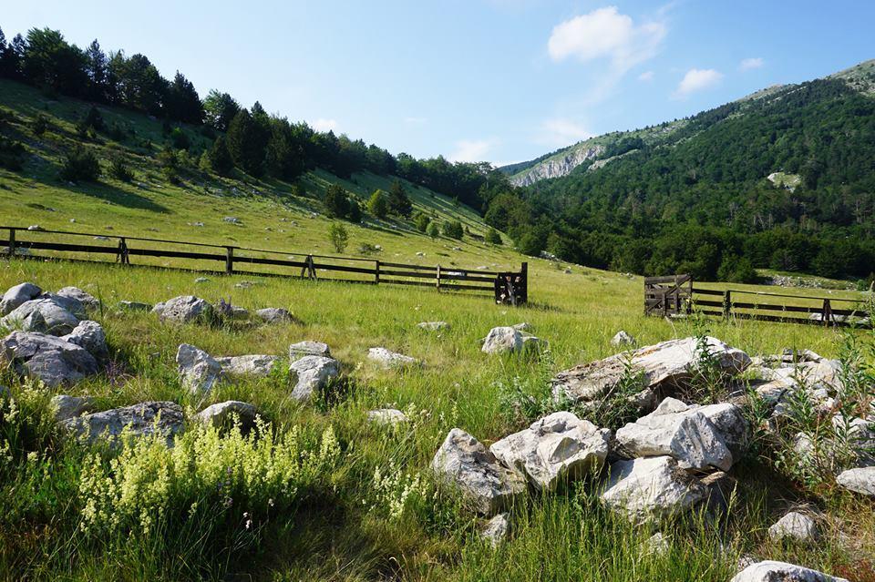 Mountain House Varda Ledenice Esterno foto